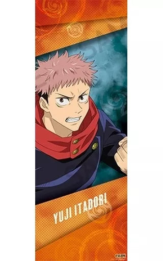 JUJUTSU KAISEN VOLUME 01 TRADING POSTERS