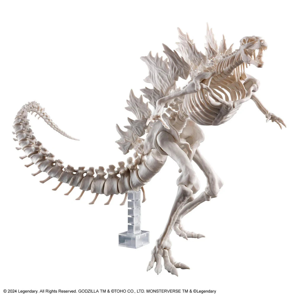 GODZILLA X KONG: THE NEW EMPIRE GODZILLA (2024) MODEL KIT