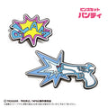 PANTY & STOCKING WITH GARTERBELT - PANTY PINS SET