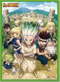 DR. STONE - KEY ART WALL SCROLL