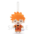 HAIKYU!! TO THE TOP PAINT SUIT NITOTAN HINATA PLUSH