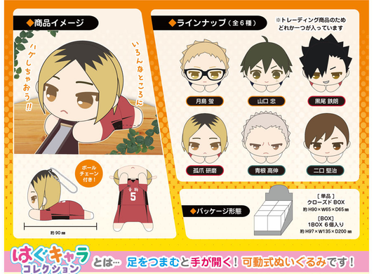 HAIKYU!! HUG COLLECTION VOLUME 02 TRADING PLUSH