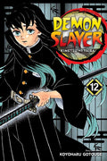DEMON SLAYER KIMETSU VOL 12 MANGA