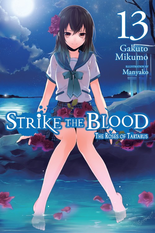 STRIKE THE BLOOD VOLUME 13 NOVEL