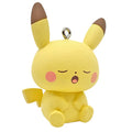 POKEMON PEACEFUL PLACE KEYCHAIN