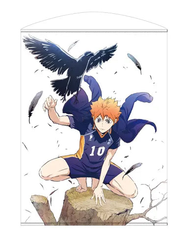 HAIKYU!! TTT 100 CM WALL SCROLL-Hinata