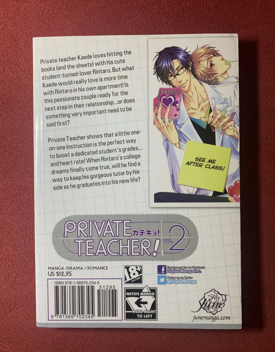 PRIVATE TEACHER VOL 02 MANGA