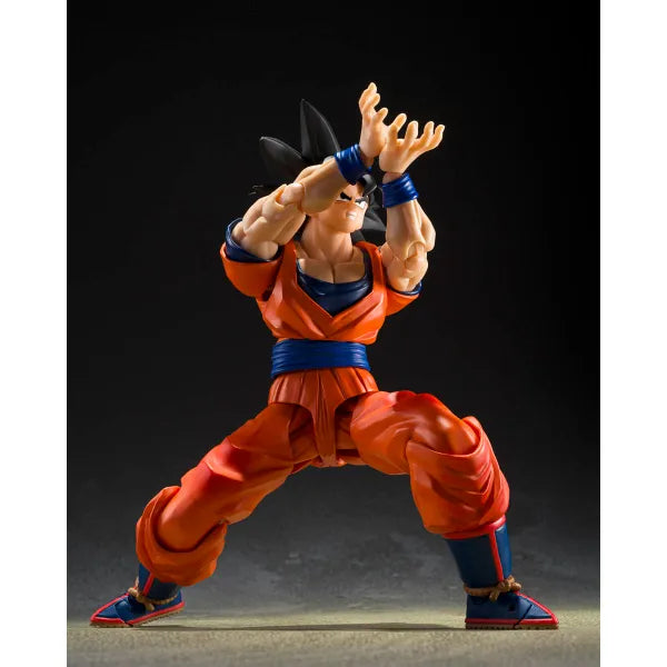 DRAGON BALL Z - SON GOKU (THE KIND-HEARTED SAIYAN) S.H. FIGUARTS TAMASHII NATIONS