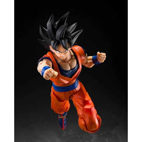 DRAGON BALL Z - SON GOKU (THE KIND-HEARTED SAIYAN) S.H. FIGUARTS TAMASHII NATIONS