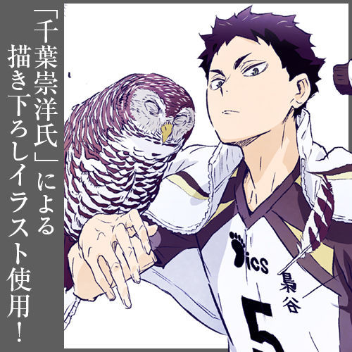 HAIKYUU!! TO THE TOP AKAASHI ACRYLIC COSPA STAND